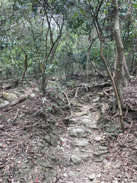 笠頂山2774748