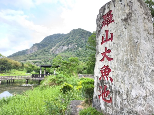 [漫遊縱谷 愛在花東-04/10] 2025_1011 羅山村竹林步道2913244