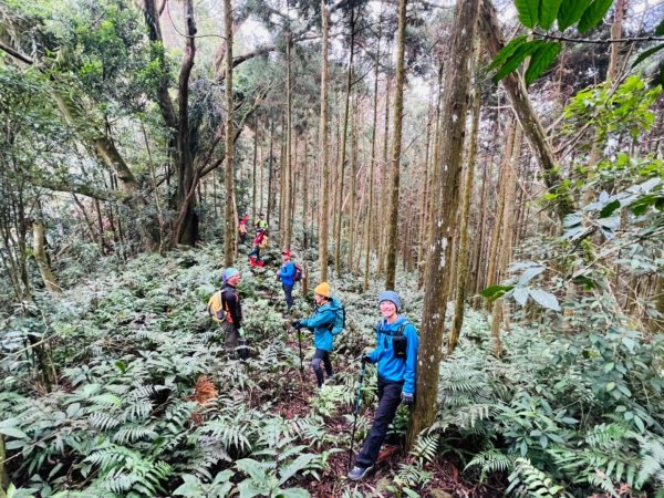 【苗栗郊山聖稜線】仙神象18連峰大縱走2676027