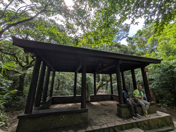 2025-06-14 臺北大縱走第一段來回2814749