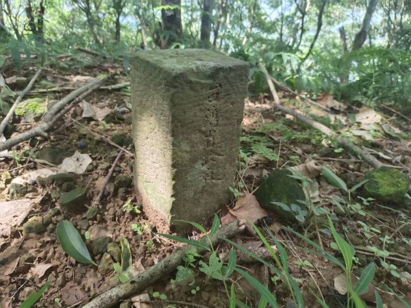 20230812台中東勢石角山、麻竹坑山、和平大南坑山主峰、大南坑山、大南坑山東峰2246198