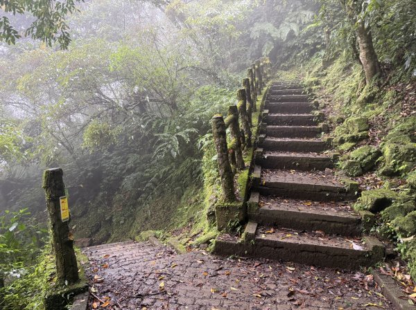 [微笑山線_第八段] 2026_0321 二格山系_二格山3020926