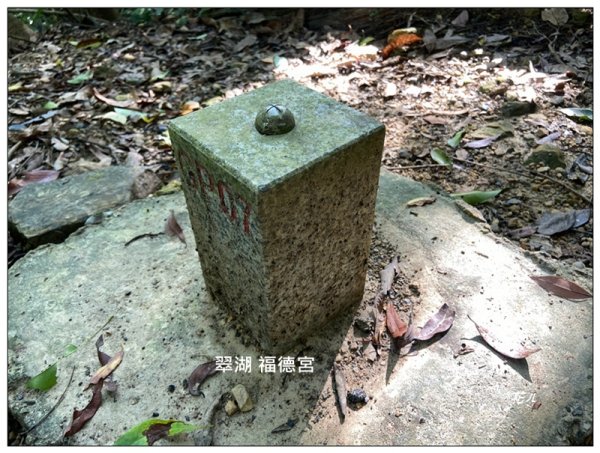 金龍湖、鷹石尖、老鷲尖、內溝山 O型一圈2966673