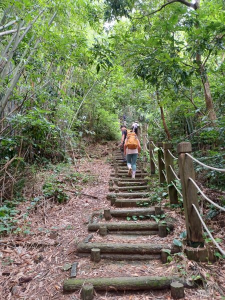 【台中潭子】爬山野餐趣。 新田登山步道x聚興山2899203