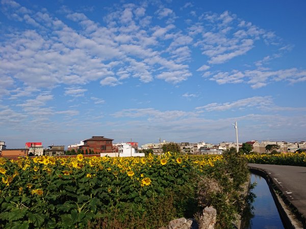 竹北澎湖窟步道2393255