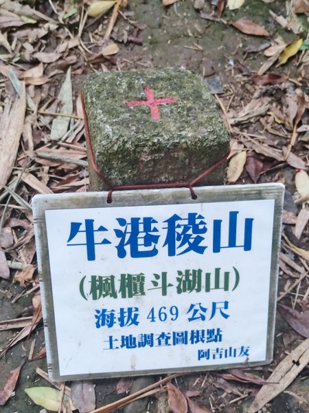 2026觀音觀鷹再觀櫻初日集章活動解鎖3067979