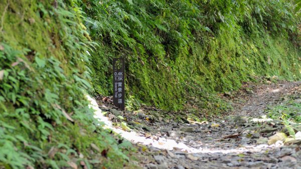 福山部落,內洞森遊區2552408
