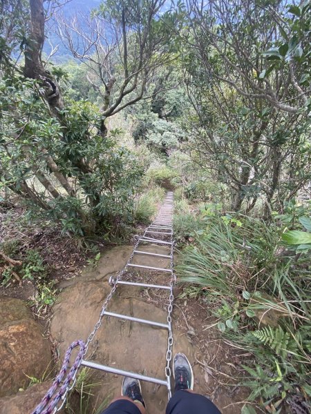 微笑山線 二訪2956775