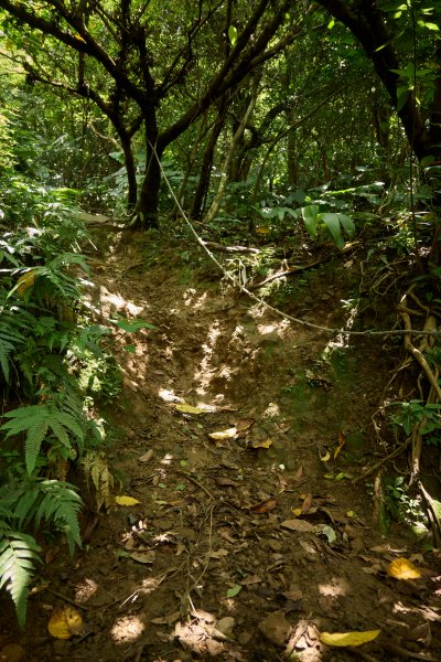 基隆山東峰(雷霆鋒)-基隆山O型(山尖路登山口)1693166