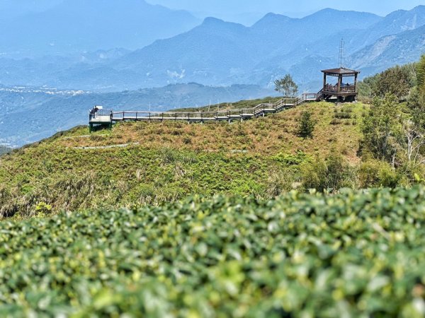 溪頭六連峰O繞2741790