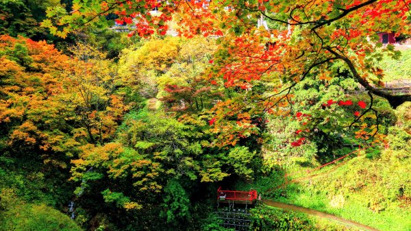 山形縣銀山溫泉2929642