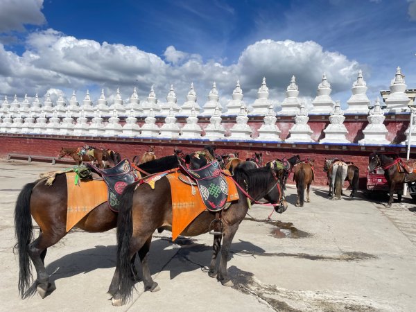 川藏深度之旅33天/A行程2901342