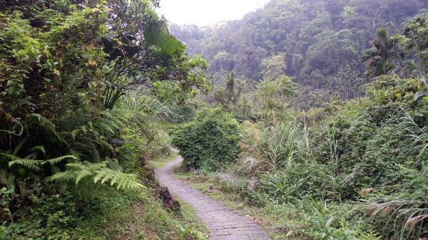 鳴鳳山古道116734