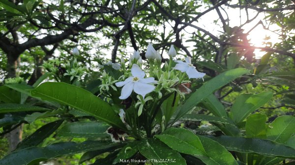 《台北》城市晨運｜南港公園後山埤公園O繞202505232795836