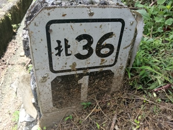 瑞芳區長青早起會觀景+碧峰岩步道2853996