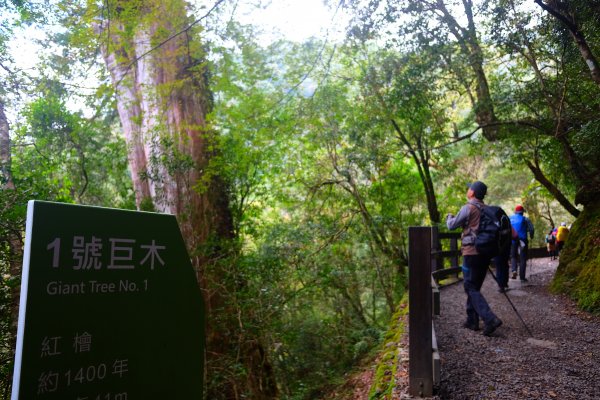 坐公車去走福巴越嶺古道896073