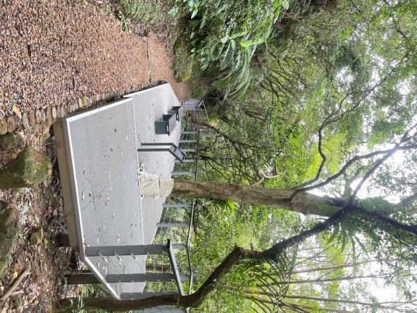 微笑山⛰️線-大棟-二格山-五分山-天上山-鳶山💎12條步道完成💙2836376