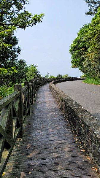 百拉卡公路人車分道菜公坑山賞花趣2120319