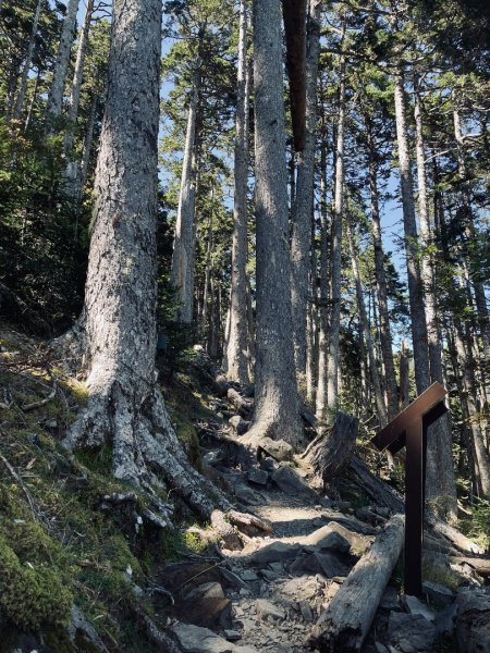 雪山西稜 2025 10/08 五天四夜2918465