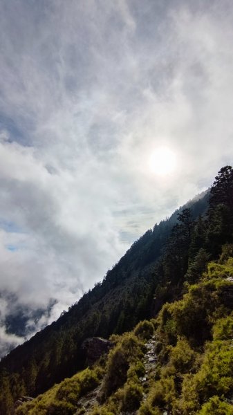 玉山北/西峰（排雲雲海/夕陽/下雨）1496125