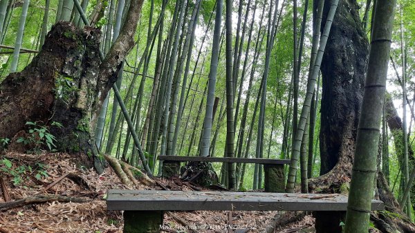 《雲林》望好望角｜石壁山嘉南雲峰步道(中側登山口）202506072805322