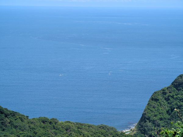 2025.09.13－情人湖步道&大武崙山2885841
