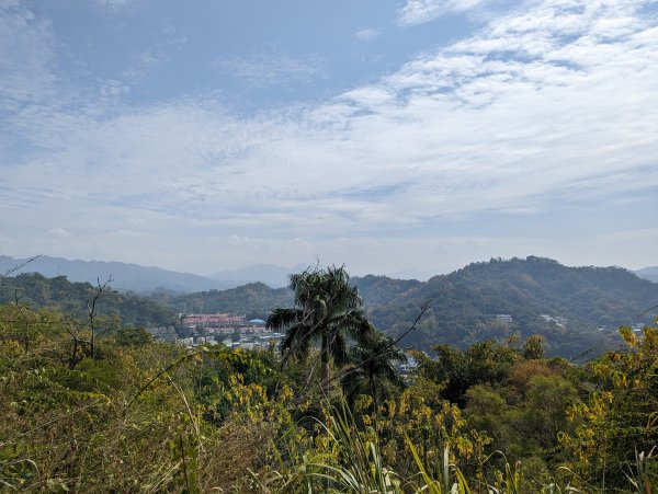 2023-02-04 大坑9、10號步道2792391