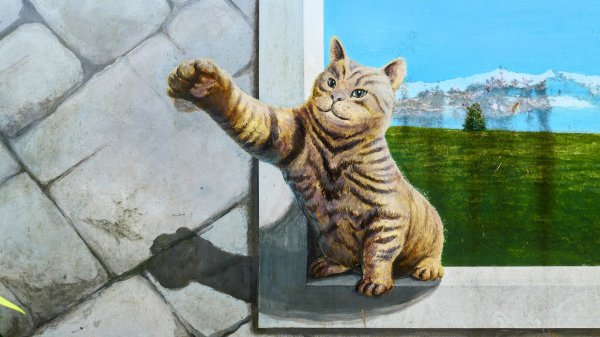 《踏莎行・貓空魯冰花》2710661