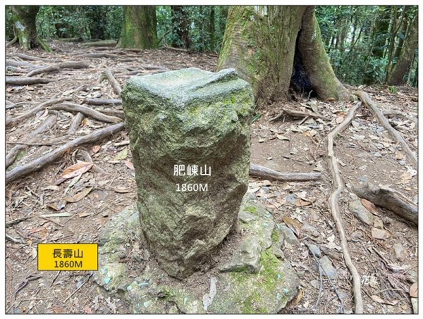 醜崠山、肥崠山(長壽山)、大崠山 三崠連走3100791