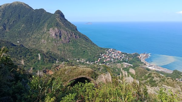找一個晴天去爬山~金瓜石芒花之旅2962424