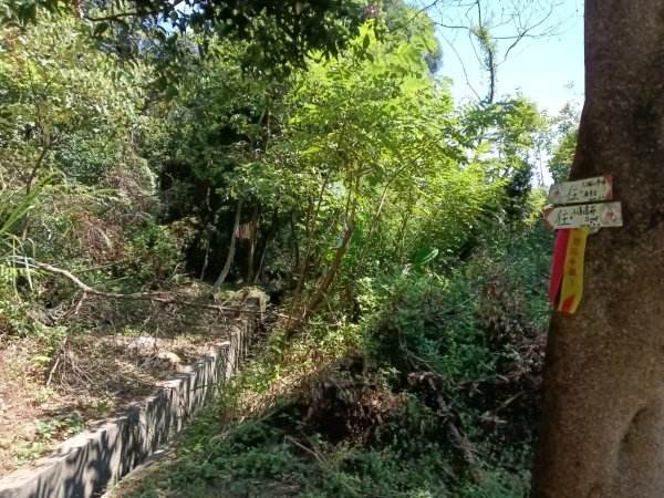 汐止區小溪瀑布+車坪寮土地公稜線2890129