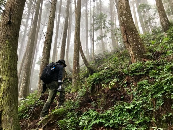 麥巴來山健走592593