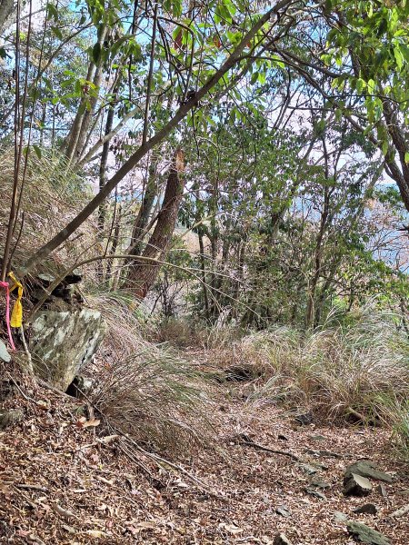 雪見駐在所+雪見山202512252971639