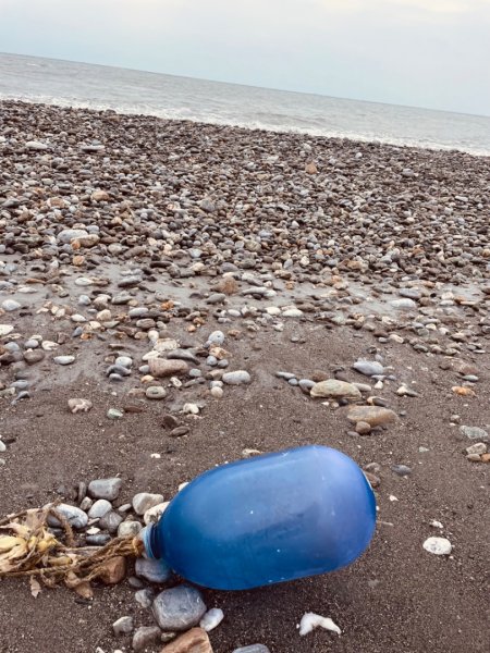 挑戰者之歌/新城-曼波海提-七星潭-月牙灣-四八高地2714661