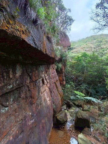 萬中瀑布-瑪鍊山-大路嶺古道-村長古厝-金剛岩-獅頭瀑布3005097