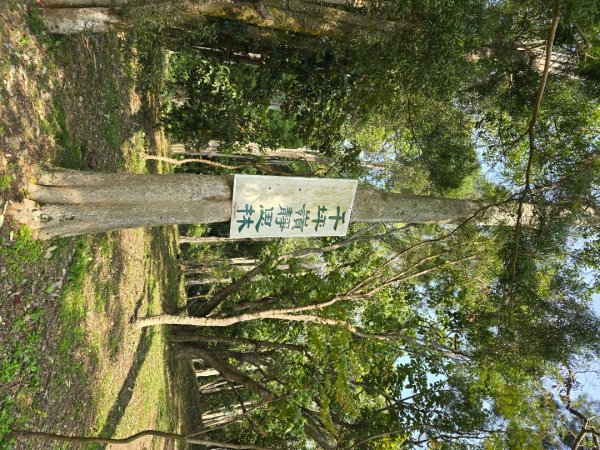 台中咬人狗坑～三汀山（小百岳～巧遇大冠鷲）2730235