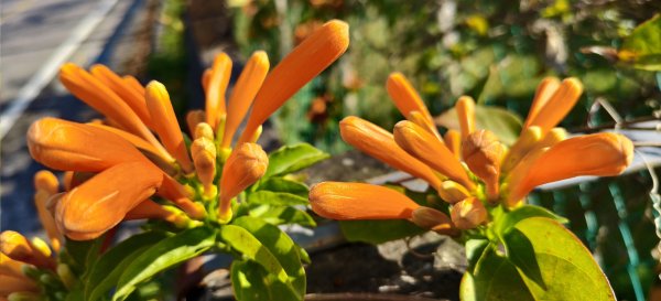 2025/022/22_峨眉湖環湖步道2719274