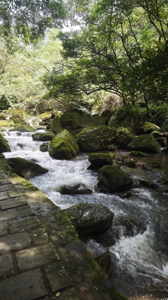 2025-0512內湖到中社2784817