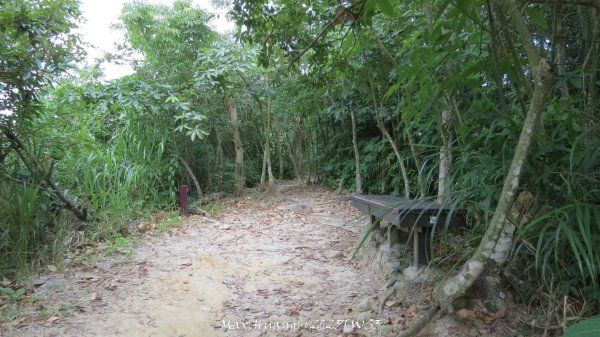 《南投》峰峰相連｜草屯九九峰森林步道O型202509062879300