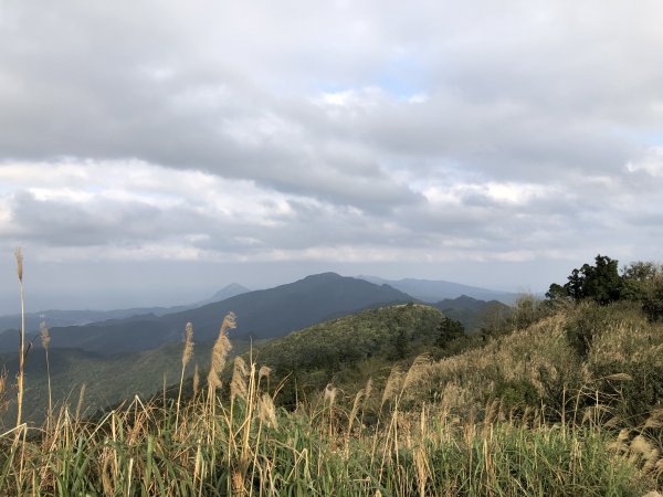 台灣小百岳No.011姜子寮山908433