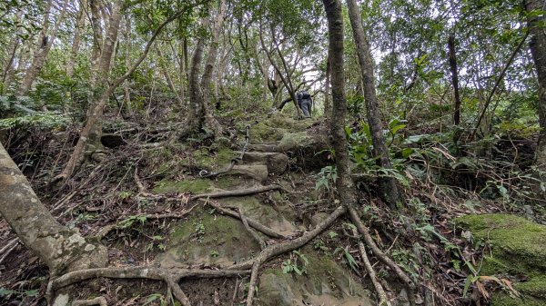 114.12.14黃帝殿西峰-天王峰-黃帝殿東峰之旅2962025