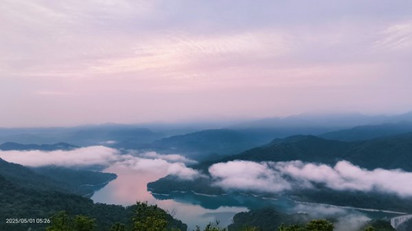 翡翠水庫壩頂 #火燒雲雲海 #日出雲海 #鱷魚島 #藍腹鷴 4/292773775