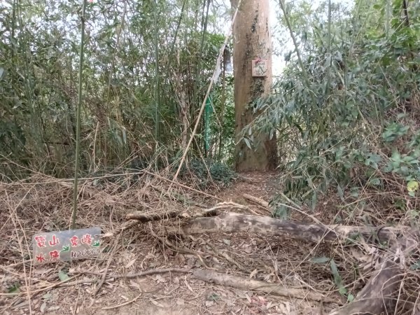 寶山鄉寶山水庫(寶山東峰+中峰+中西峰+西峰+西北峰)+尖山O型3012517