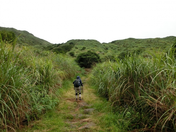 魚路古道．擎天崗．竹篙山94447