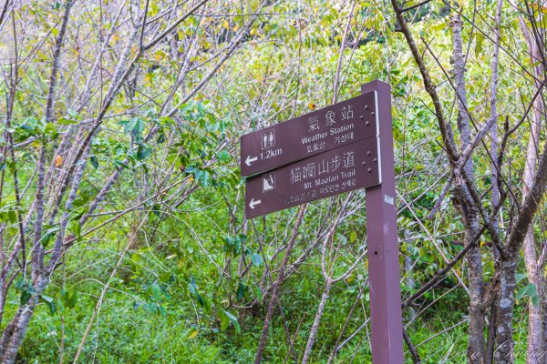 [南投]貓囒山與日月潭2904400