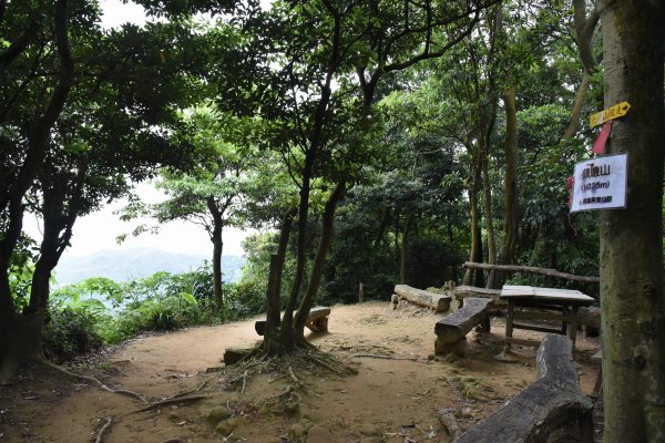 樹林大棟山／小百岳0151408541