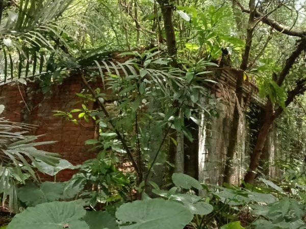 汐止區夢湖保線路+單車夢湖路O型2894084