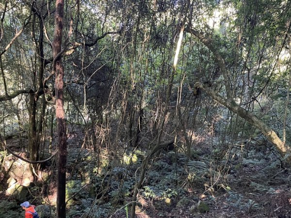 加里山隘勇線2913115