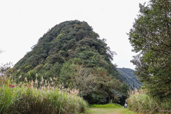 [新北]獅仔頭山2454614