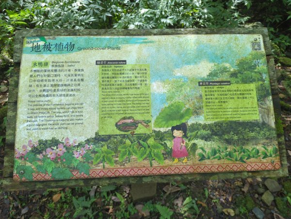 2025.01.10－松羅國家步道2981180